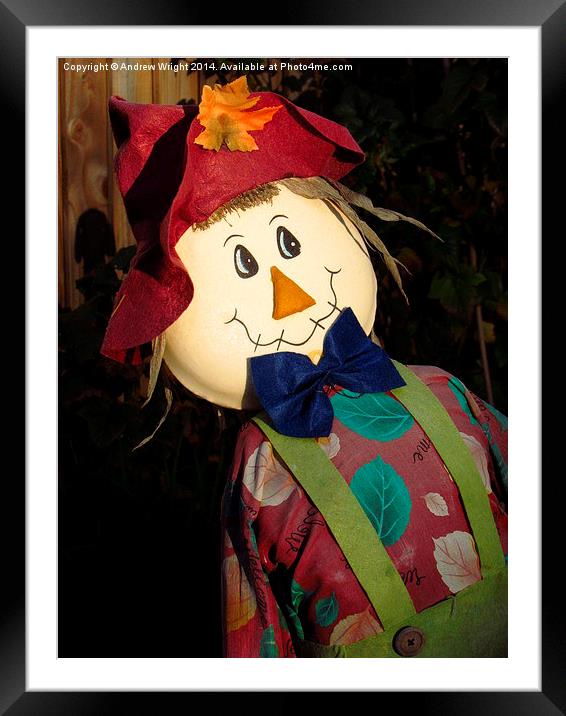 Designer Scarecrow  Framed Mounted Print by Andrew Wright