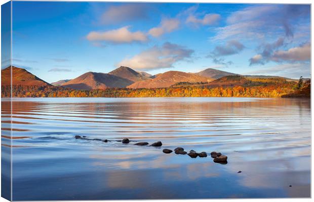 Derwent Water Canvas Print by Andrew Ray