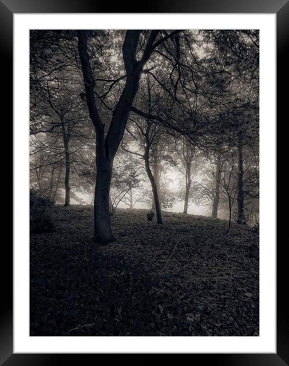  september mist Framed Mounted Print by chrissy woodhouse