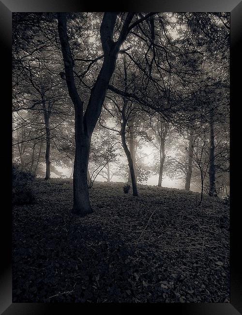  september mist Framed Print by chrissy woodhouse
