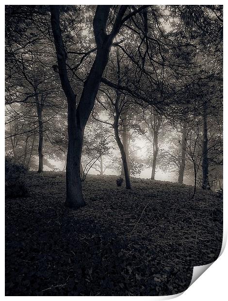  september mist Print by chrissy woodhouse