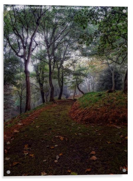  autumn mist Acrylic by chrissy woodhouse