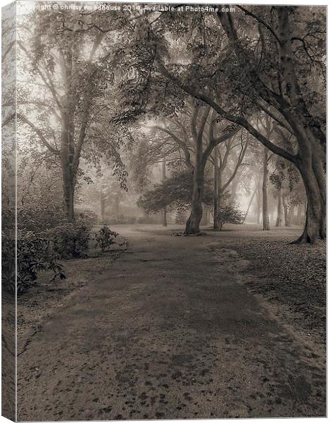  Belle vue in sepia Canvas Print by chrissy woodhouse