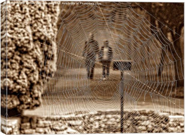  a view through the web Canvas Print by chrissy woodhouse