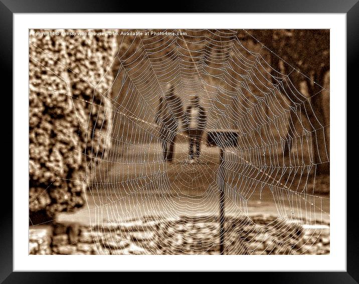  a view through the web Framed Mounted Print by chrissy woodhouse