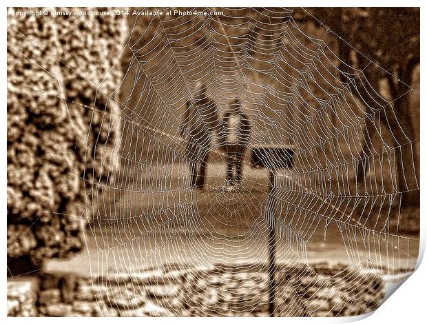  a view through the web Print by chrissy woodhouse