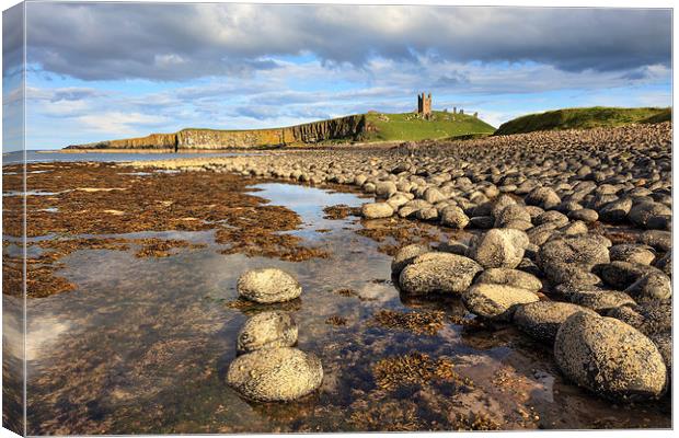 Dunstanburgh Canvas Print by Andrew Ray