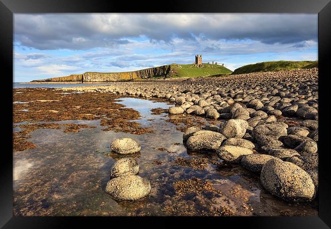 Dunstanburgh Framed Print by Andrew Ray