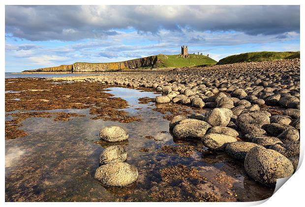 Dunstanburgh Print by Andrew Ray