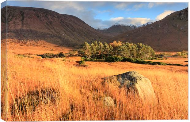 Evening Light in Glen Etive Canvas Print by Andrew Ray
