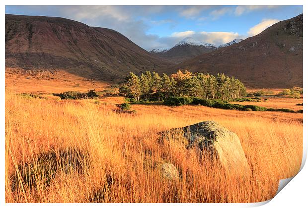 Evening Light in Glen Etive Print by Andrew Ray