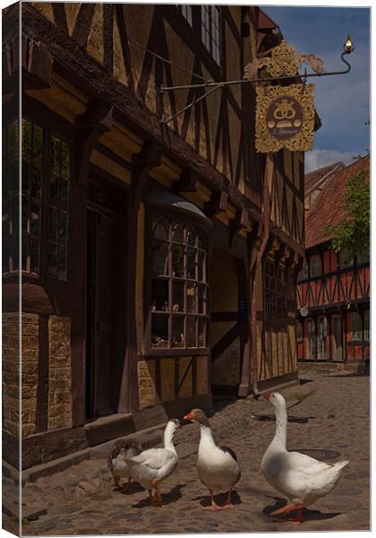 Geese Canvas Print by Thomas Schaeffer