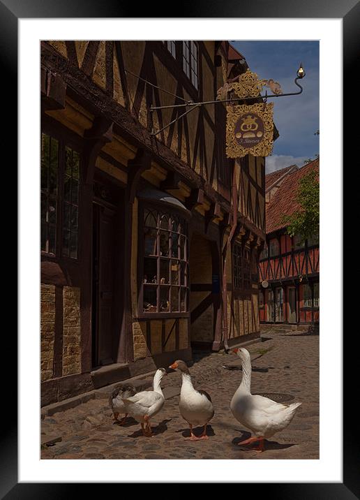 Geese Framed Mounted Print by Thomas Schaeffer