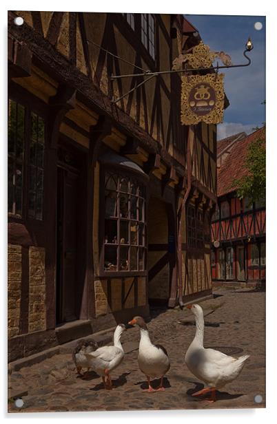 Geese Acrylic by Thomas Schaeffer