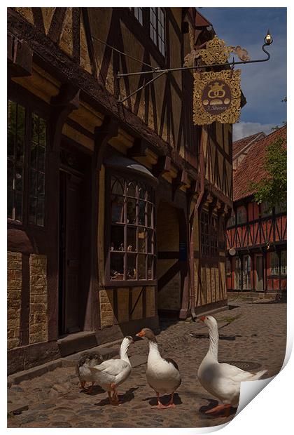 Geese Print by Thomas Schaeffer