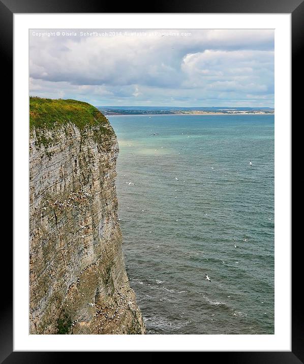  Bempton Cliffs Framed Mounted Print by Gisela Scheffbuch