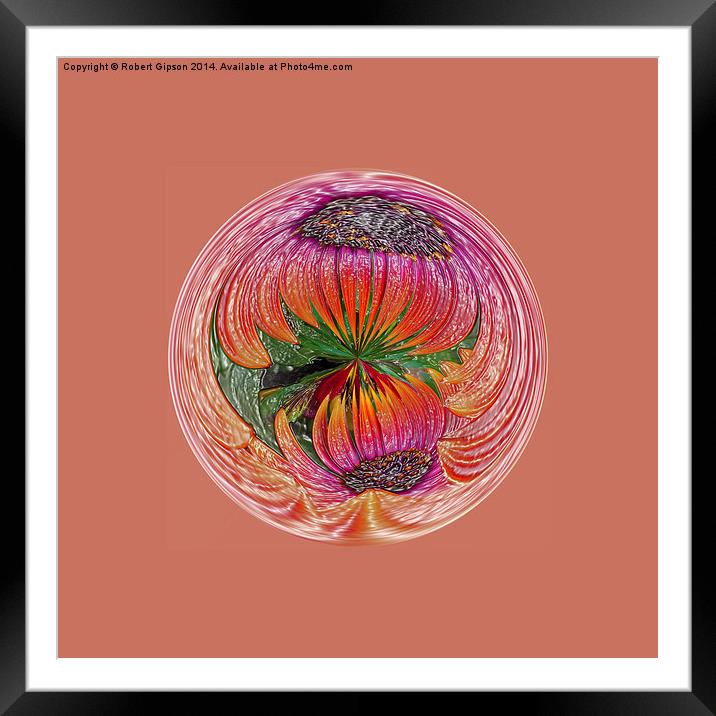  Abstract flower globe Framed Mounted Print by Robert Gipson