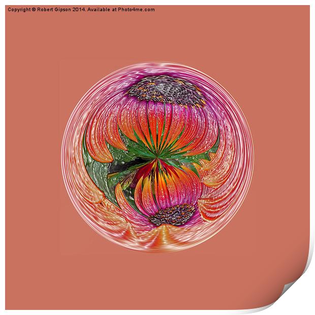  Abstract flower globe Print by Robert Gipson