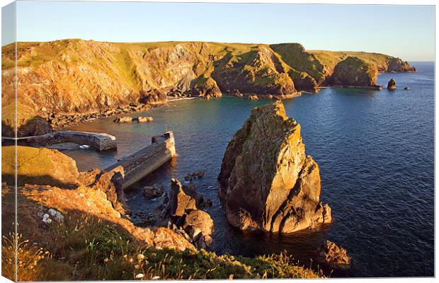  Early evening at Mullion Cove Canvas Print by Ian Duffield