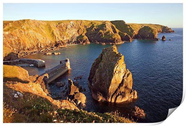  Early evening at Mullion Cove Print by Ian Duffield