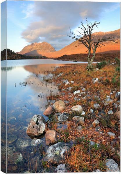 First Light (Loch Clair) Canvas Print by Andrew Ray