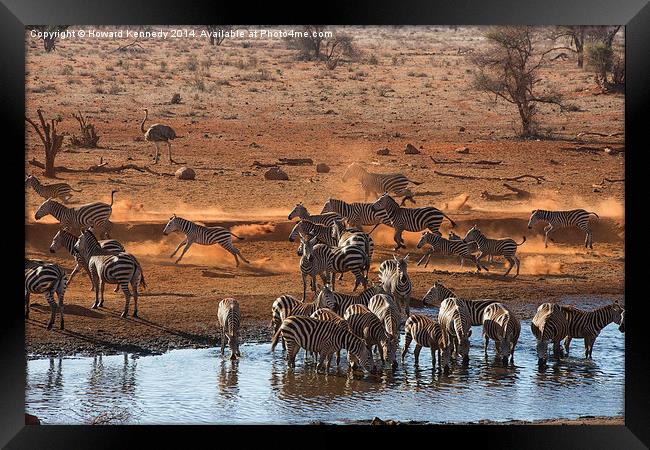 Busy time at the waterhole Framed Print by Howard Kennedy