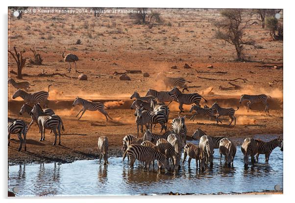 Busy time at the waterhole Acrylic by Howard Kennedy