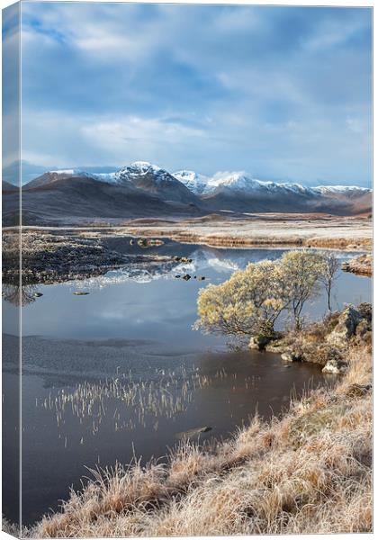 Frosty Morning on Rannoch Moor Canvas Print by Andrew Ray