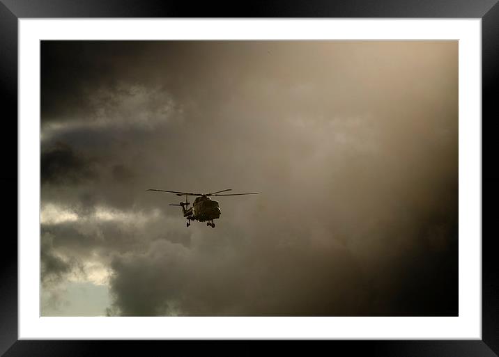  Stormy Lynx Framed Mounted Print by Bob Small