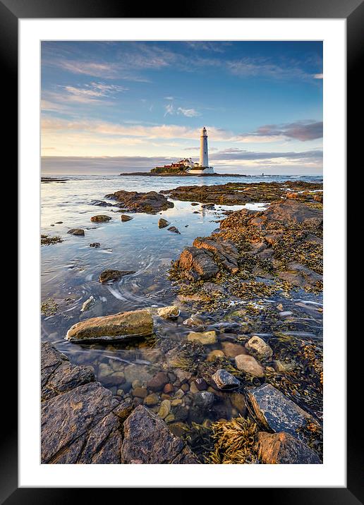 High Tide at St Mary's Lighthouse Framed Mounted Print by Andrew Ray