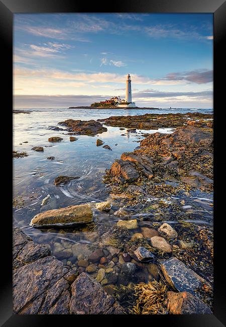 High Tide at St Mary's Lighthouse Framed Print by Andrew Ray