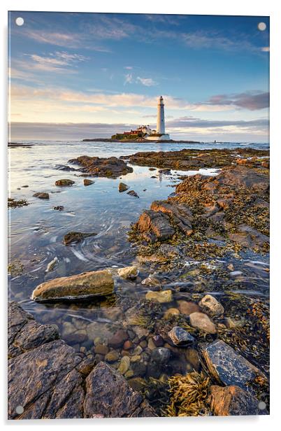 High Tide at St Mary's Lighthouse Acrylic by Andrew Ray