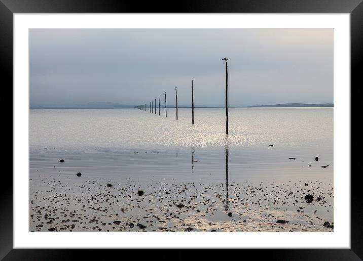 Holy Island Posts Framed Mounted Print by Andrew Ray