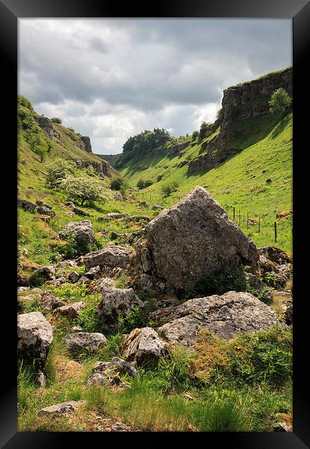 Lathkill Dale Framed Print by Andrew Ray