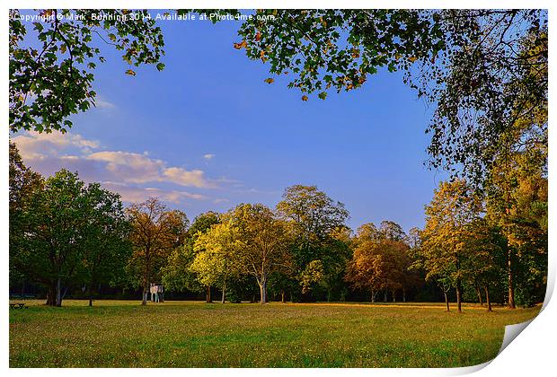 Lynford Stag forest park Print by Mark Bunning