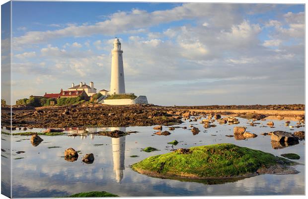 Lighthouse Reflections (St Mary's) Canvas Print by Andrew Ray