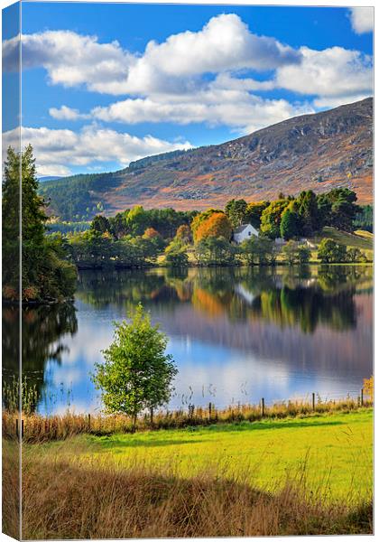 Loch Alvie Reflections Canvas Print by Andrew Ray