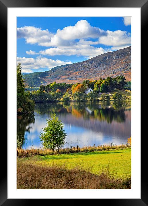 Loch Alvie Reflections Framed Mounted Print by Andrew Ray