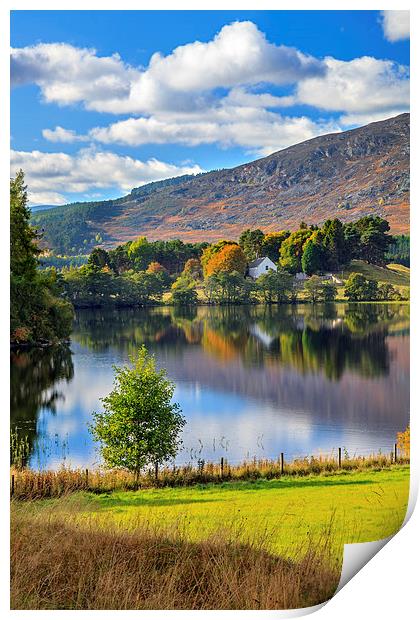 Loch Alvie Reflections Print by Andrew Ray