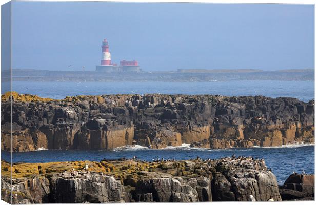Longstone Lighthouse Canvas Print by Andrew Ray