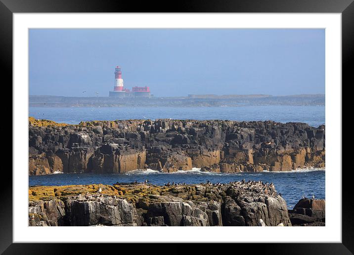 Longstone Lighthouse Framed Mounted Print by Andrew Ray