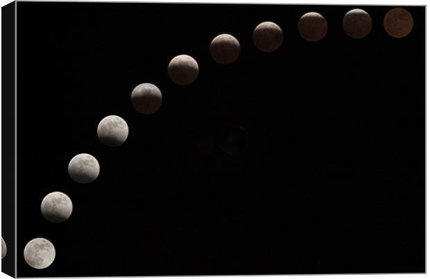 Lunar Eclipse Canvas Print by TIM HUGHES