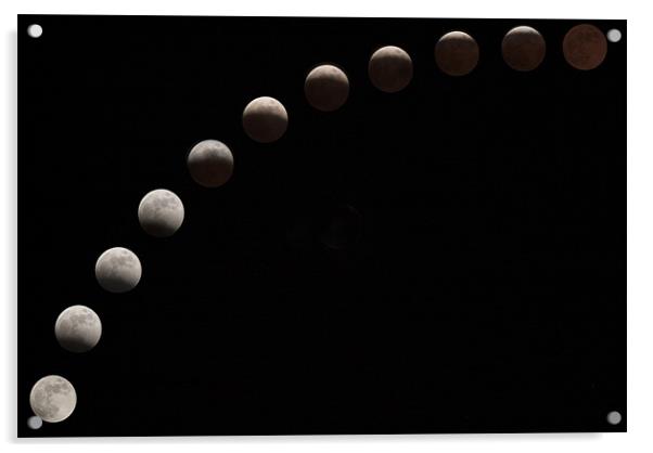 Lunar Eclipse Acrylic by TIM HUGHES