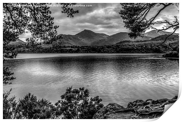  Lakeland View Derwentwater  Print by William Duggan