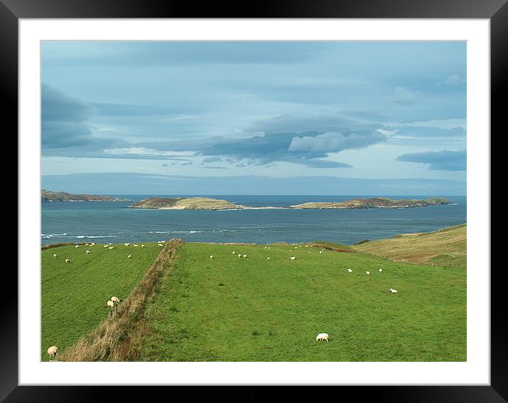 Graze with a view Framed Mounted Print by raymond mcintosh