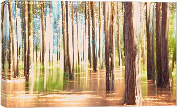  Into the woods Canvas Print by paul cobb