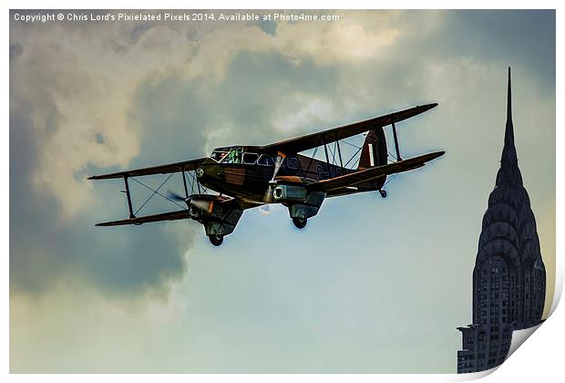  The de Havilland DH.89 Dragon Rapide Print by Chris Lord