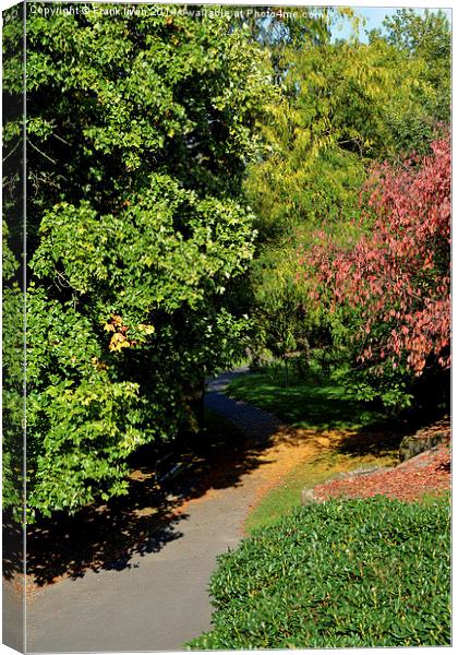  Path meandering to nowhere. Canvas Print by Frank Irwin