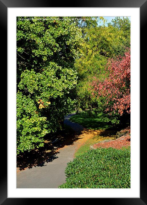  Path meandering to nowhere. Framed Mounted Print by Frank Irwin