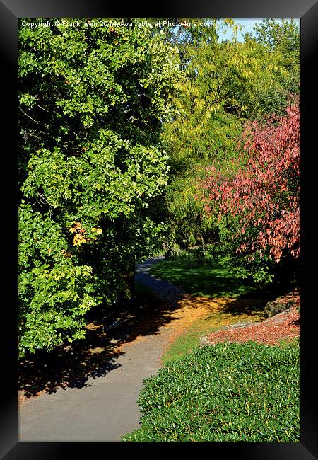  Path meandering to nowhere. Framed Print by Frank Irwin